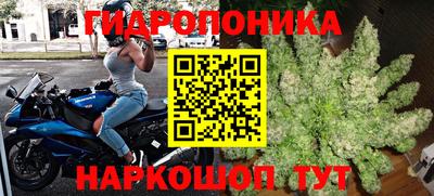 гидра Дубна